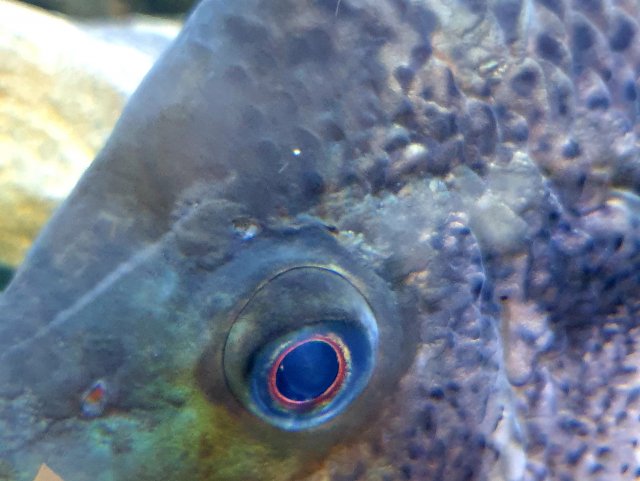 20200507_171842.jpg 20200507_171842.jpg