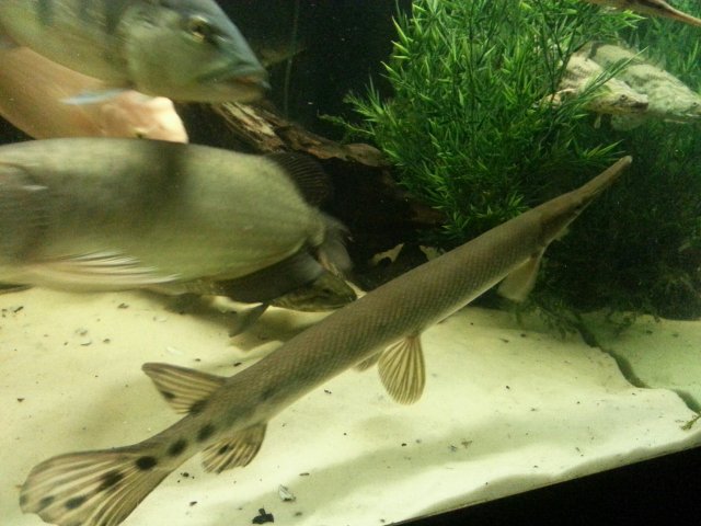 20141205_200247.jpg