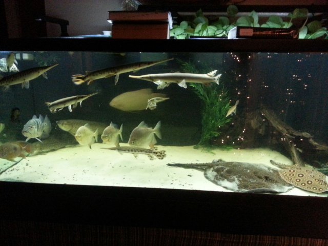 20141221_184317.jpg