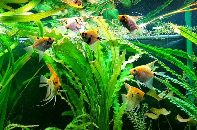 August 20, 2018 25435 PM EDT.jpg