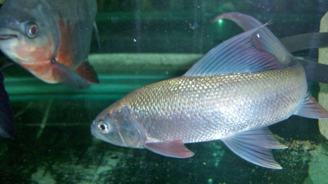 100_9189.JPG 100_9189.JPG
