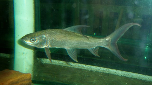 100_9190.JPG 100_9190.JPG