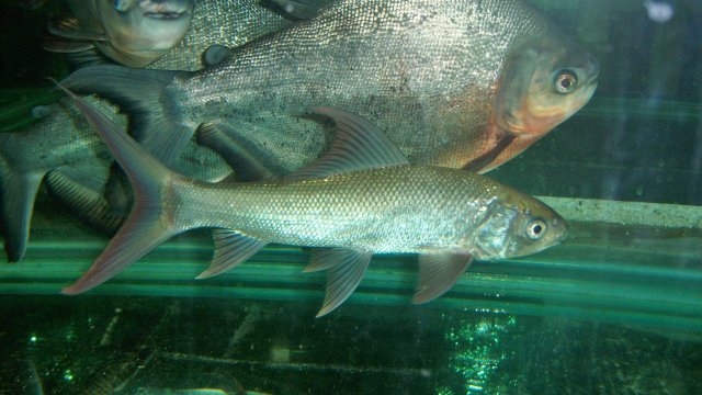 100_9192.JPG 100_9192.JPG