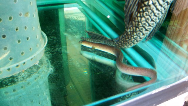 100_9089.JPG
