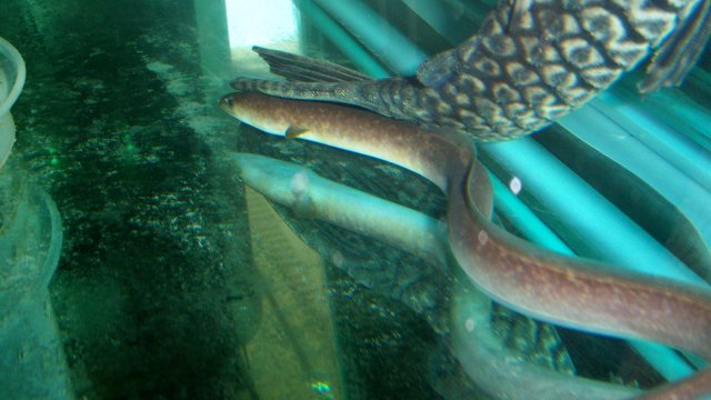 100_9090.JPG