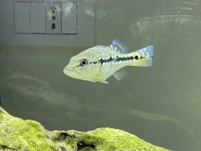 IMG_4214.jpg