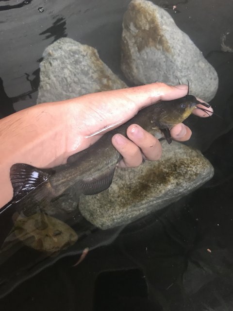 AD8C822D-DF7A-4AB5-81F9-83B8381EAB6B.jpeg AD8C822D-DF7A-4AB5-81F9-83B8381EAB6B.jpeg