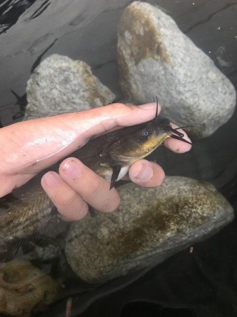 487638F1-9169-41A9-B9DA-670AA0830336.jpeg 487638F1-9169-41A9-B9DA-670AA0830336.jpeg