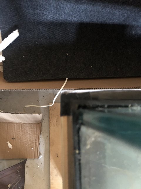 D429FB2D-EB3C-44ED-84E9-358593194257.jpeg