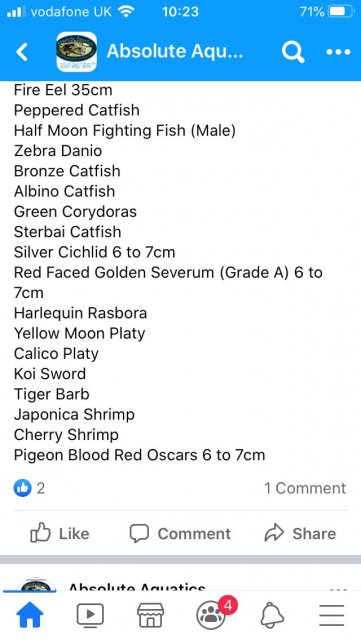 A50AEF72-AB0F-4F92-AB2D-EA3A7713C12A.jpeg