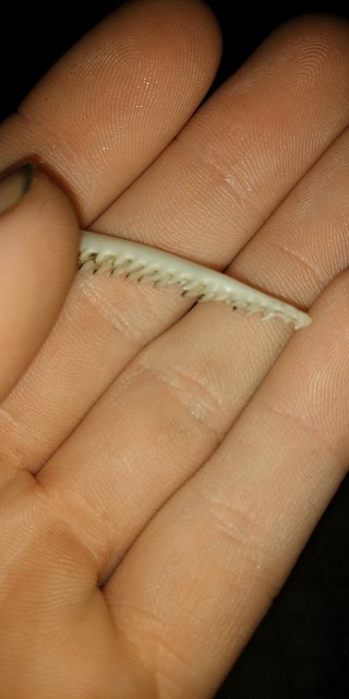 15894224019691974355506979266332.jpg 15894224019691974355506979266332.jpg