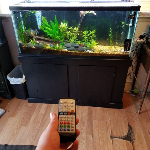 IMG_20200427_180226_283.jpg IMG_20200427_180226_283.jpg