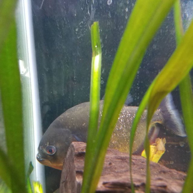 IMG_20200513_171305_691.jpg IMG_20200513_171305_691.jpg