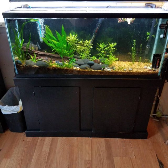 IMG_20200427_180226_232.jpg IMG_20200427_180226_232.jpg