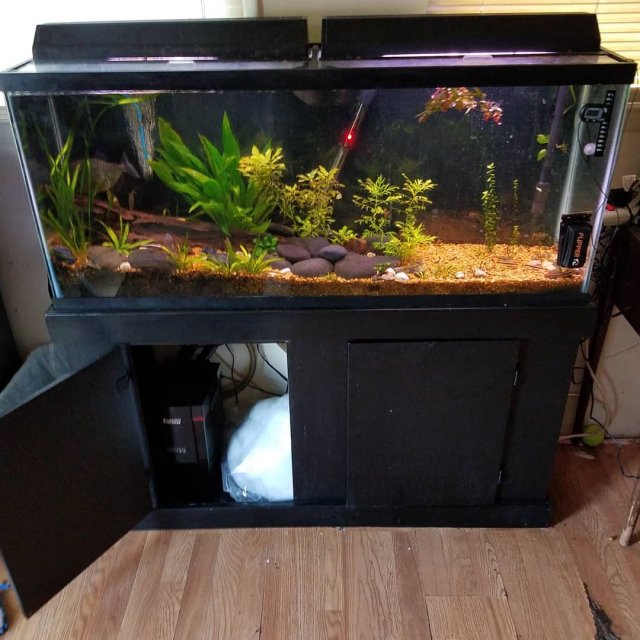 IMG_20200427_180226_237.jpg IMG_20200427_180226_237.jpg