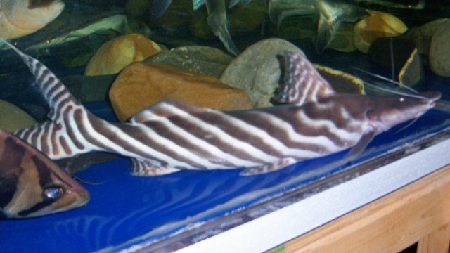 100_9038.JPG