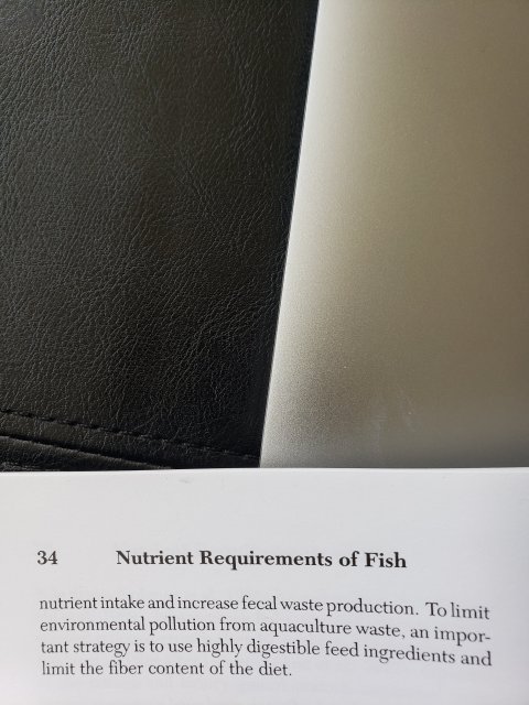 1589485172901346437891876353518.jpg 1589485172901346437891876353518.jpg