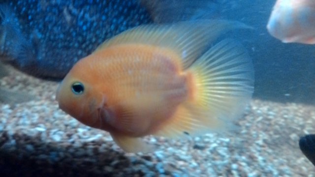 P_20160117_210709.jpg