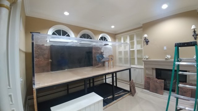 96561868_656588405121365_625794795364679680_n.jpg 96561868_656588405121365_625794795364679680_n.jpg