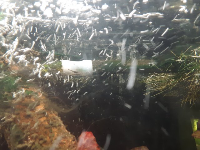 20200516_233443.jpg