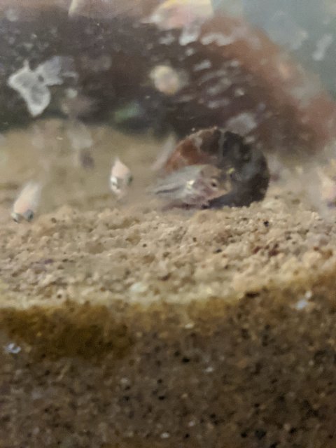 MVIMG_20200517_114144.jpg