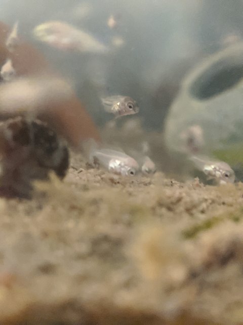 MVIMG_20200517_114103.jpg