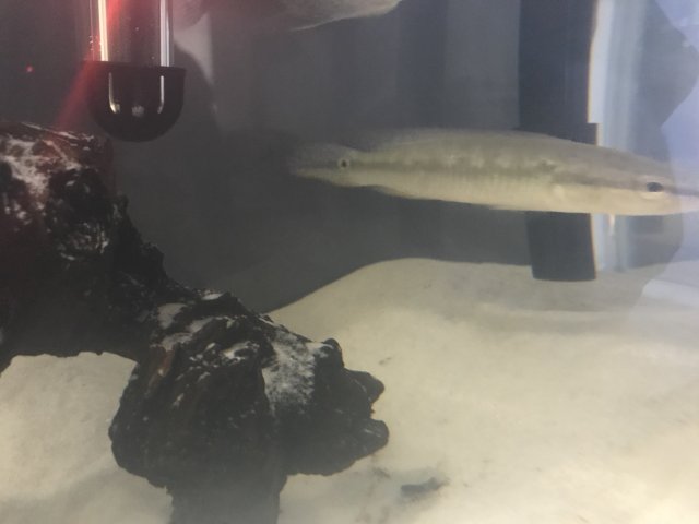 BD2072F3-F1F3-40B4-B195-E093DE0DA021.jpeg