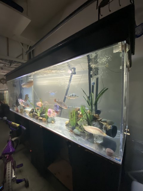 9BE71083-983A-48F4-8D1C-4D3395A3D996.jpeg 9BE71083-983A-48F4-8D1C-4D3395A3D996.jpeg