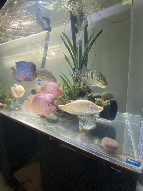 A3C430E6-45BE-4351-A020-2058943A79B2.jpeg A3C430E6-45BE-4351-A020-2058943A79B2.jpeg