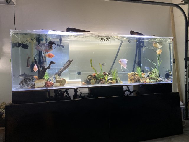 EC4D42E6-714F-4254-9004-6A593C9FBB9A.jpeg EC4D42E6-714F-4254-9004-6A593C9FBB9A.jpeg