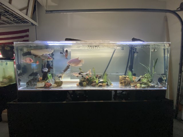 F91D7D4A-E7DB-4812-A3DC-AC52460C5CBB.jpeg F91D7D4A-E7DB-4812-A3DC-AC52460C5CBB.jpeg