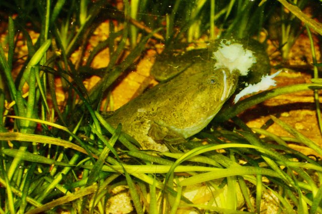 13CA573D-231E-41DC-B595-D4D1985E61EB_1_201_a.jpeg 13CA573D-231E-41DC-B595-D4D1985E61EB_1_201_a.jpeg