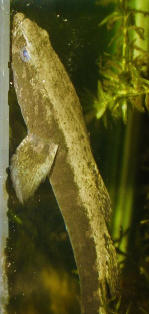 E904BFC2-579C-4F5B-BD29-CAF422C856F3_1_201_a.jpeg E904BFC2-579C-4F5B-BD29-CAF422C856F3_1_201_a.jpeg