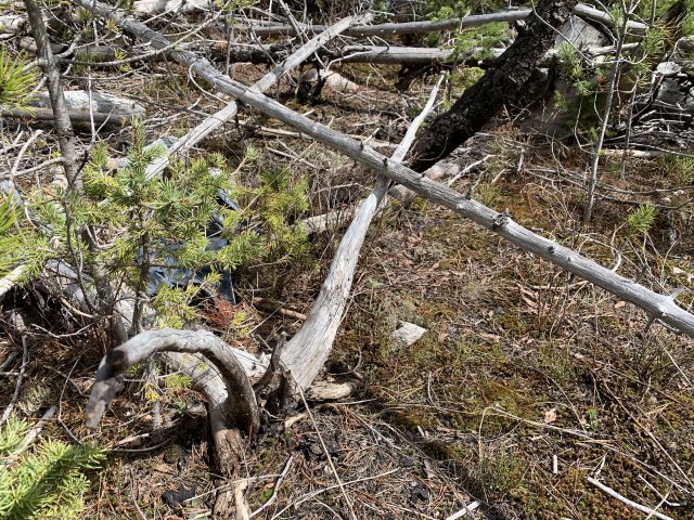 04628F0A-1B20-4FA5-8292-ACBB5FB9C51F.jpeg 04628F0A-1B20-4FA5-8292-ACBB5FB9C51F.jpeg