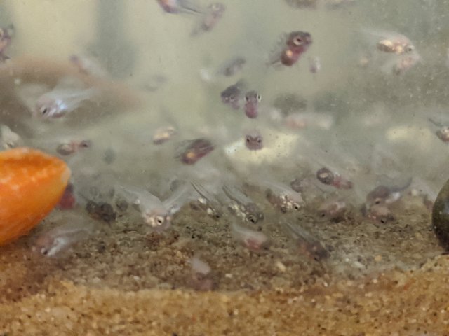 MVIMG_20200518_182433.jpg