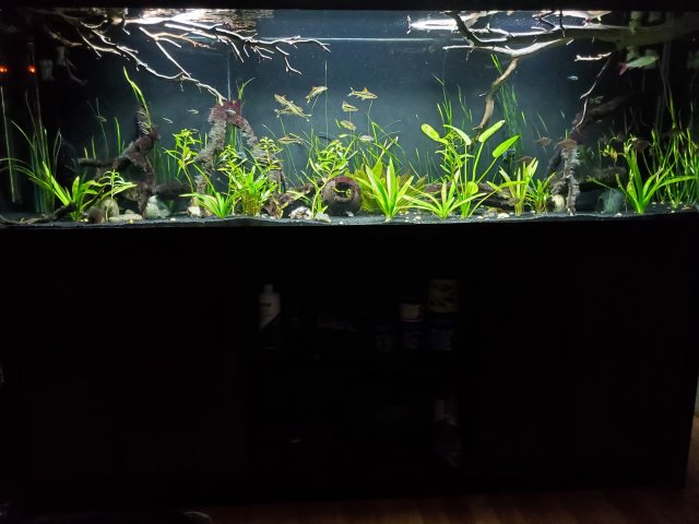 20200518_202209.jpg