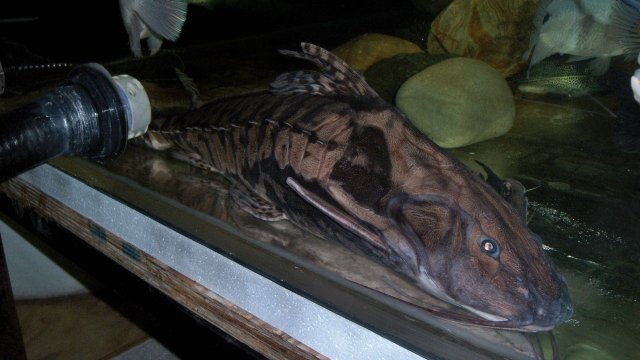100_9047.JPG