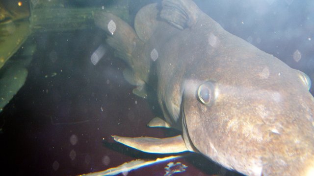 100_9052.JPG