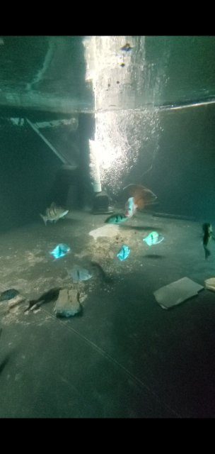 Screenshot_20200521-214853_Video Player.jpg