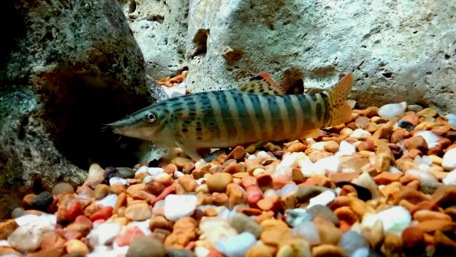20200526_154232.jpg