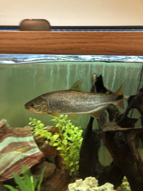 IMG_8467.jpg IMG_8467.jpg