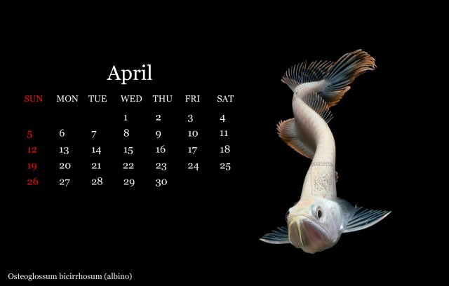 04april.jpg