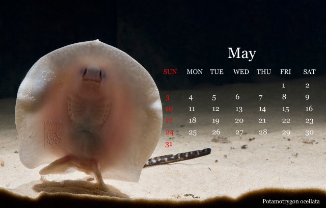 05may.jpg