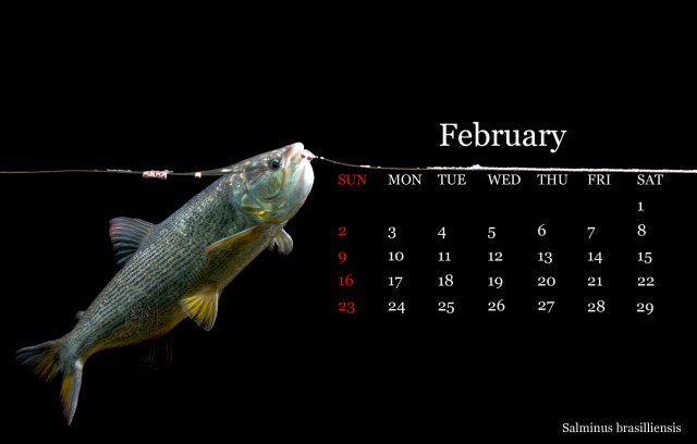 02feb.jpg