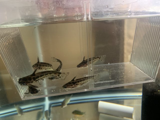 E78FBF7B-29CC-4A33-95D4-609DAAA45312.jpeg E78FBF7B-29CC-4A33-95D4-609DAAA45312.jpeg