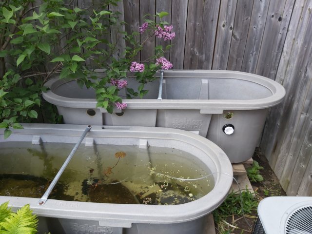 20200530_162710.jpg 20200530_162710.jpg
