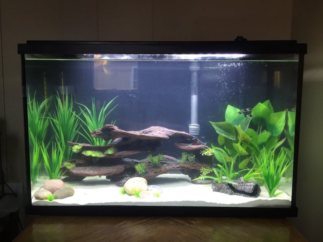 2A76BA43-BEEF-401B-8F67-28F980EF3DAE.jpeg 2A76BA43-BEEF-401B-8F67-28F980EF3DAE.jpeg