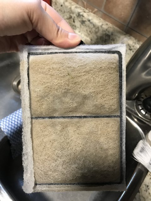 AFB538B0-1CED-4AB5-A354-B06C4A92AE79.jpeg AFB538B0-1CED-4AB5-A354-B06C4A92AE79.jpeg