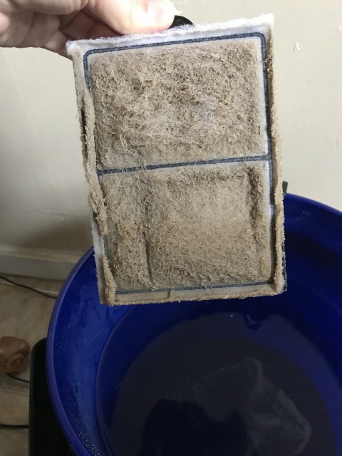 5EDC5A86-BA9F-423E-87E9-5533F3E48C34.jpeg 5EDC5A86-BA9F-423E-87E9-5533F3E48C34.jpeg