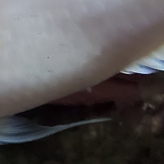 20200531_112458.jpg